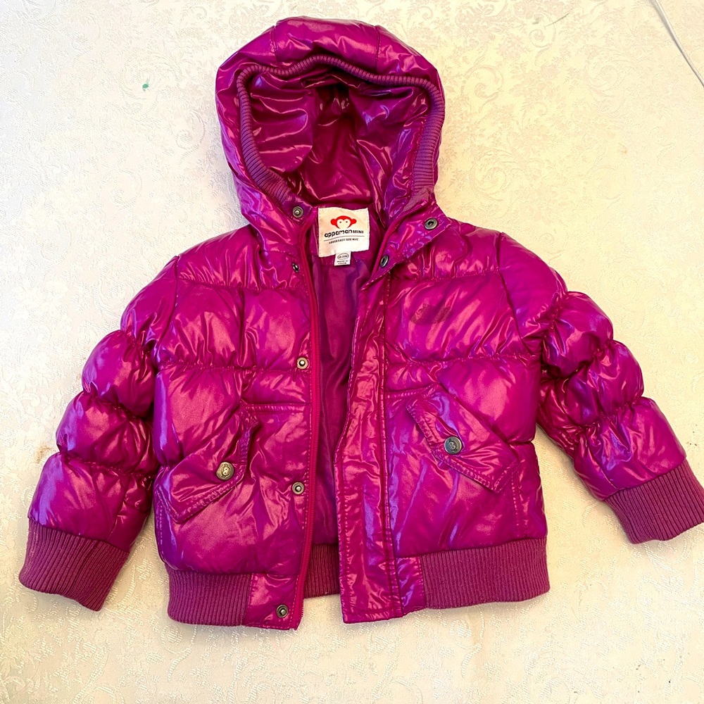 Appaman gorgeous jacket girls